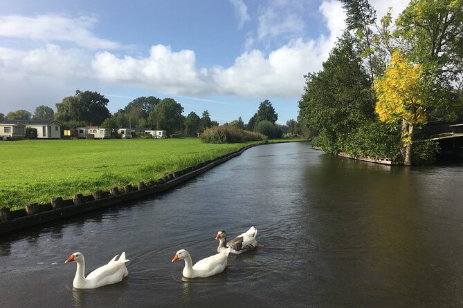 Giethoorn and Zaanse Schans Day Tour Small Group Incl. Boat Ride - Cheese factory tour in Zaanse Schans, with real tasting time