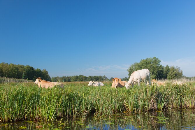 Giethoorn: Highlights Canal Cruise and Sightseeing Village - Het Wapen van Giethoorn: The Practical Souvenir Stop