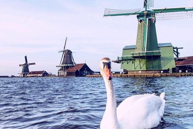 Giethoorn, Private Boat Tour & Zaanse Schans Windmills - The Drive From Amsterdam: Where Your Guide Adds Value