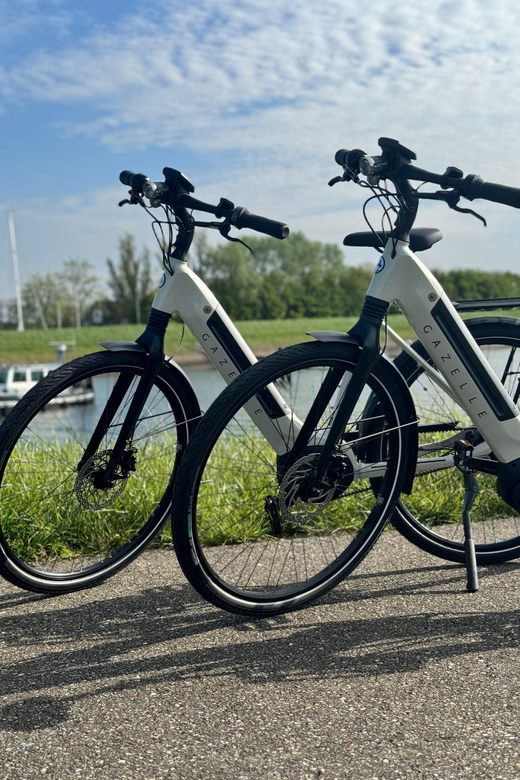 Goes: Full-Day E-Bike Rental - Timing Your Own Pace for an 8-Hour Day