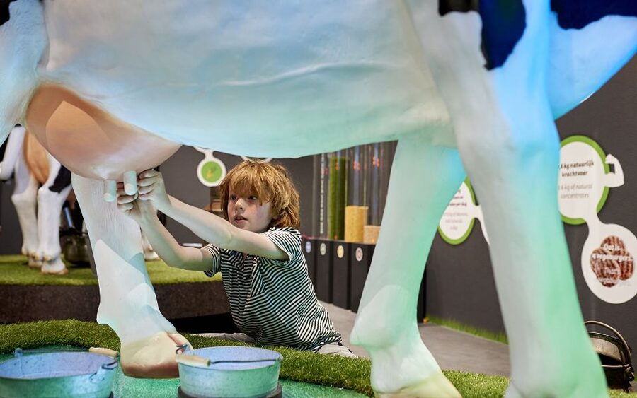 Gouda: Gouda Cheese Experience Entry Ticket - Hands-on stations: virtual milking and cheese turning