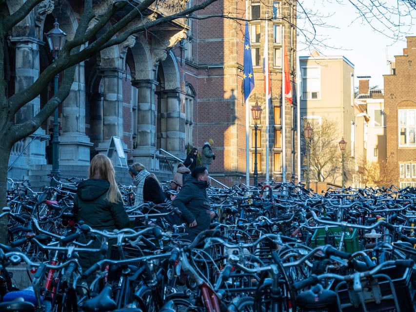 Groningen: Walking Tour with Local Guide - Starting at Forum Groningen, the modern intro that actually matters