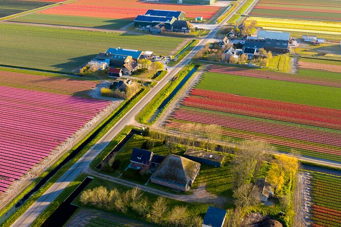 Guided Bike Tour along the Dutch Tulip Fields in Noord Holland - Key highlights you will feel right away