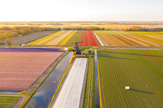 Guided Bike Tour along the Dutch Tulip Fields in Noord Holland - The 4-hour plan, ride distance, and what pacing feels like