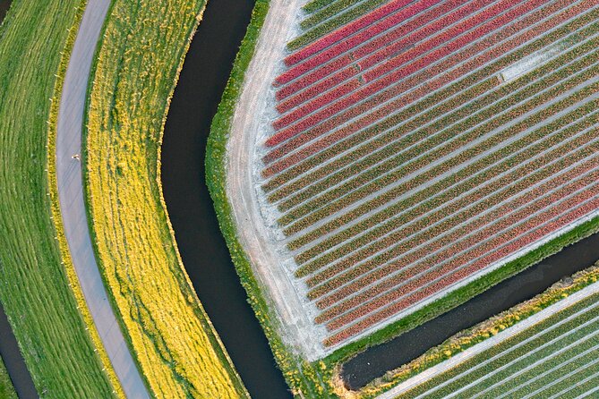 Guided Bike Tour along the Dutch Tulip Fields in Noord Holland - Logistics that matter: tickets, meeting point, and timing