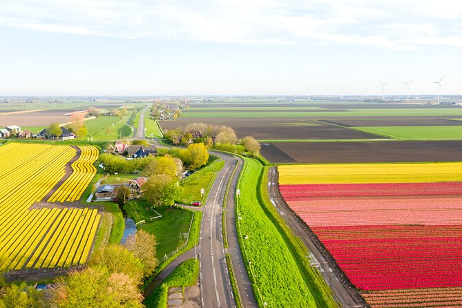 Guided Bike Tour along the Dutch Tulip Fields in Noord Holland - What you actually see each day: fields, windmills, and pasture life