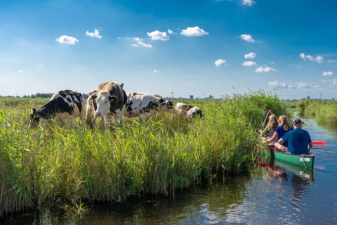Guided Canoe Adventure with Picnic Lunch in Waterland from Amsterdam - Quick hits before you book this Waterland canoe day