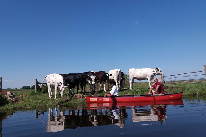 Guided Canoe Adventure with Picnic Lunch in Waterland from Amsterdam - Optional swim: when to say yes and what to plan for