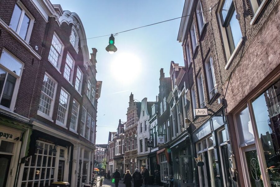 Haarlem: City Highlights Walking Tour - Key highlights at a glance