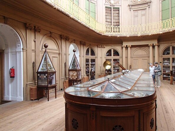 Haarlem Old Town Private Walking Tour - Key Highlights Worth Your Time