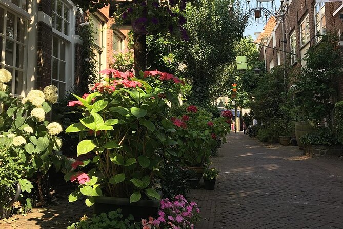 Haarlem Old Town Private Walking Tour - Grote Markt, Weight House Views, Mozart at St. Bavo, and Saturday Market Chances
