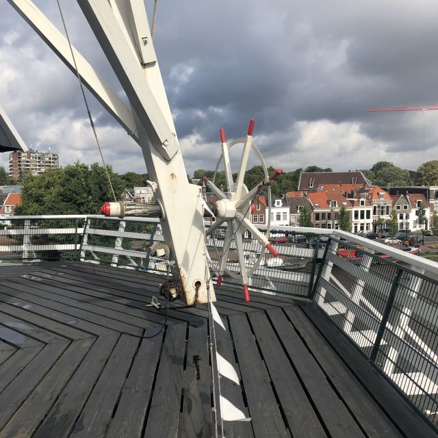 Haarlem: Windmill 'De Adriaan' Guided Tour - Stair Steps, Steep Ladders, and How to Prepare