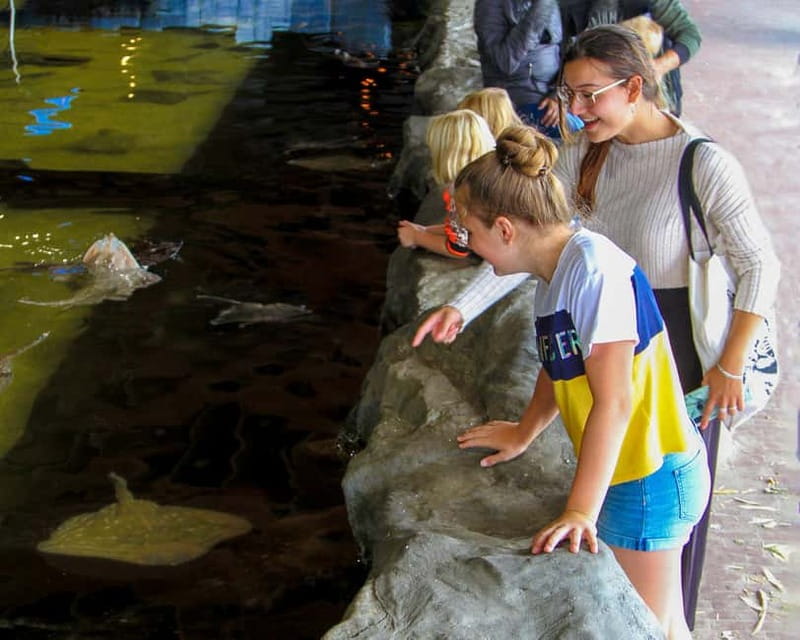 Harderwijk: Dolfinarium Entry Ticket - Getting close to big marine animals without needing encounters