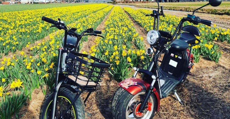 Hillegom: E-Scooter or E-Bike Rental in the Bulb Region - Key Highlights You’ll Care About