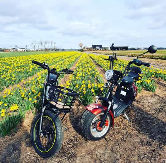 Hillegom: E-Scooter or E-Bike Rental in the Bulb Region - Hillegom and the Bulb Region: Why This Area Works Best by Electric Wheels