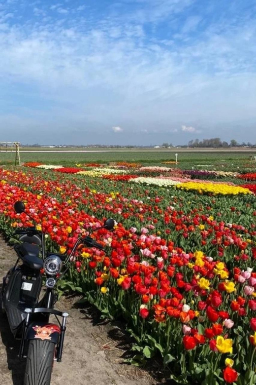 Hillegom: E-Scooter or E-Bike Rental in the Bulb Region - Check-In at E-Scooterverhuur Bollenstreek: Fast Setup, Clear Start