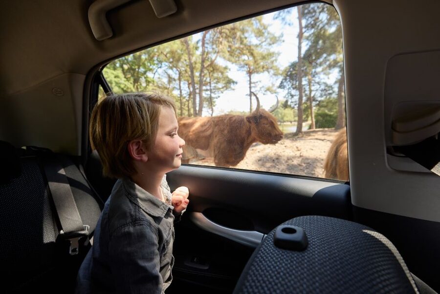 Hilvarenbeek: Safaripark Beekse Bergen Entry Ticket - Key things I think you’ll like