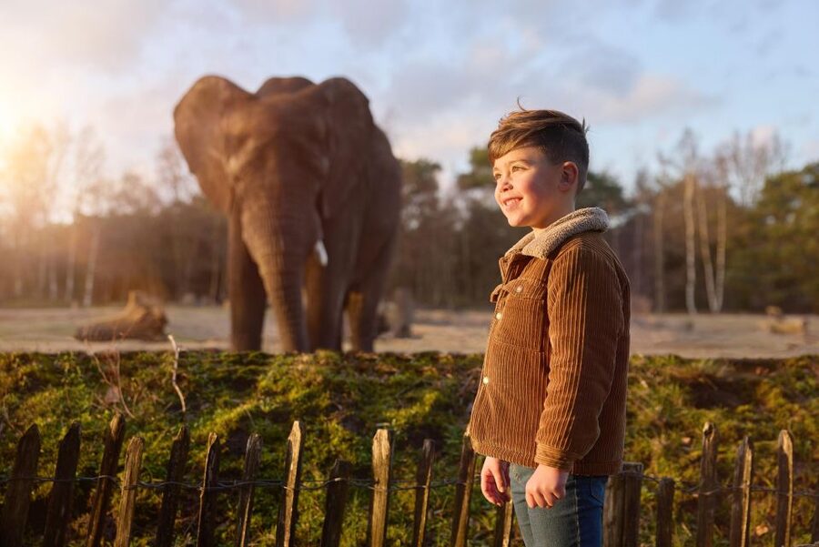 Hilvarenbeek: Safaripark Beekse Bergen Entry Ticket - Why Safaripark Beekse Bergen works as a one-day wildlife plan