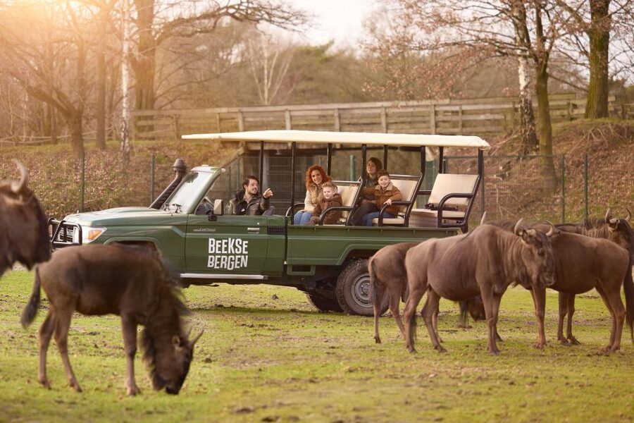 Hilvarenbeek: Safaripark Beekse Bergen Entry Ticket - What animals you can plan around, without expecting perfect spotting
