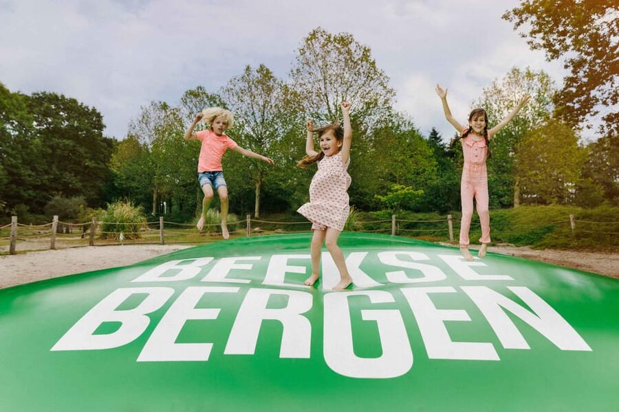 Hilvarenbeek: Speelland Beekse Bergen Entrance Ticket - The small extras: Minicars and Kidcars add up