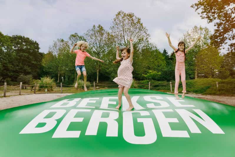 Hilvarenbeek: Speelland Beekse Bergen Entrance Ticket - Price and value: paying for options, not just one hour