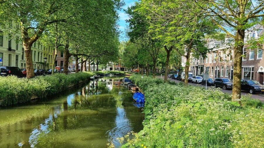 Historical Utrecht: Private Walking Tour with a Local Guide - Meet at the Dom Tower, then get your bearings fast