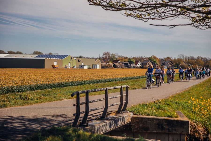 Keukenhof: Flower Fields Small-Group Cultural Bike Tour - The ride: photo stops, viewpoints, and a pace that feels doable