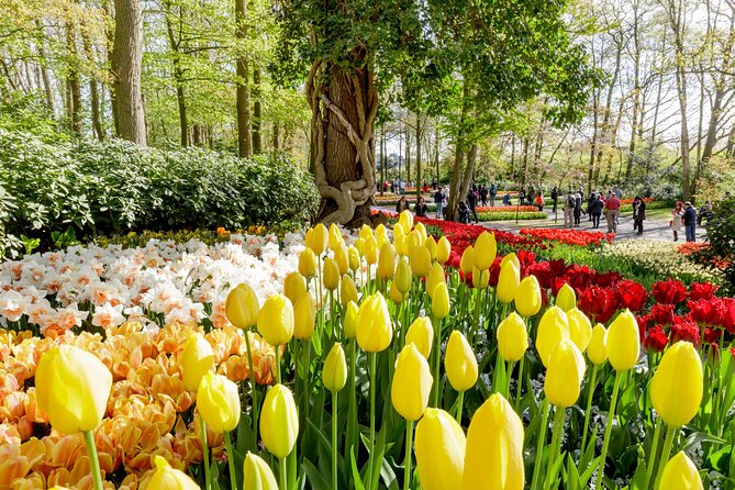 Keukenhof, Flower Fields, Volendam and Zaanse Schans Small-Group Tour - Keukenhof Gardens: 3 Hours in the tulip mecca