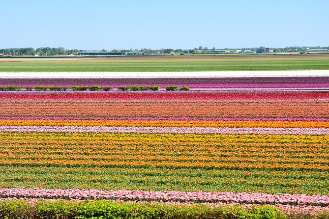 Keukenhof, Flower Fields, Volendam and Zaanse Schans Small-Group Tour - Timing, transport, and the “how was your day really?” reality