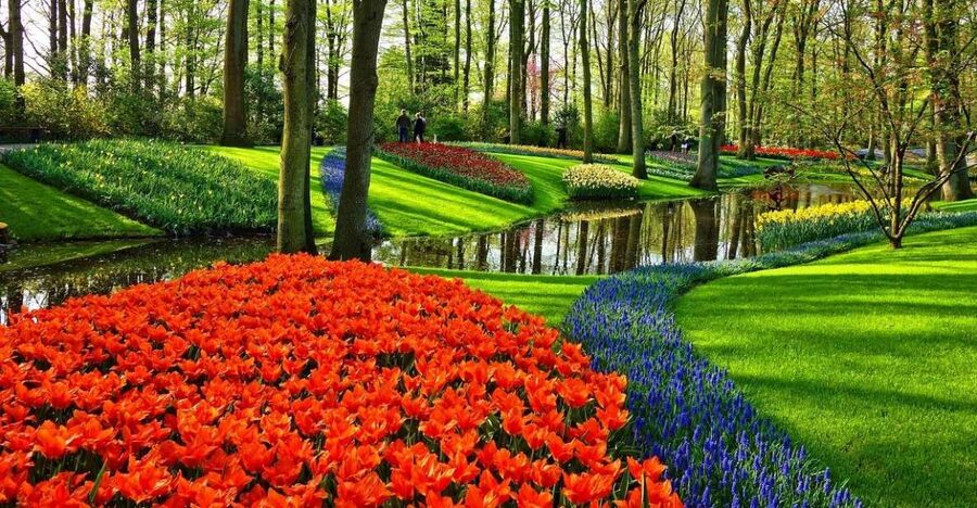 Keukenhof Gardens and Tulip Experience Tour from Amsterdam - Quick reasons this tour is worth your time