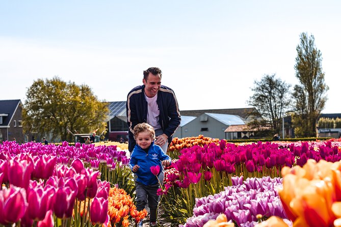 Keukenhof Gardens and Tulips Private Tour from Amsterdam - The private Mercedes transfer: comfort, timing, and photo-friendly stops