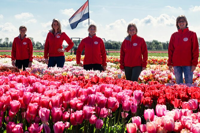 Keukenhof Gardens and Tulips Private Tour from Amsterdam - Price and value: what you’re really paying for