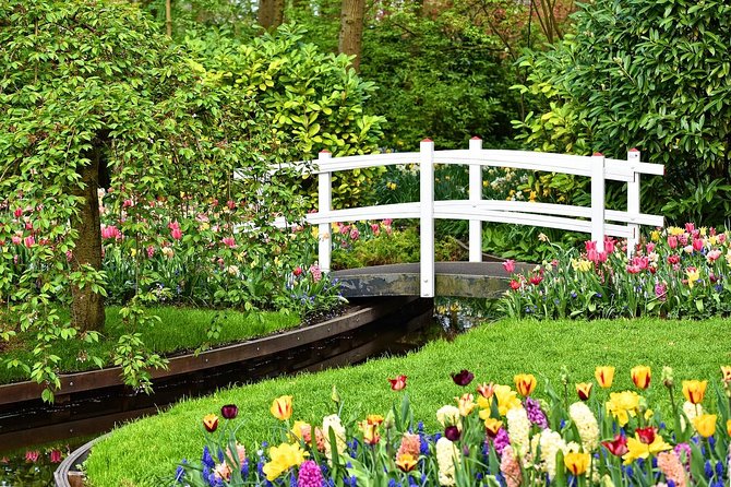 Keukenhof Gardens and Tulips Private Tour from Amsterdam - Getting into Keukenhof fast, then having time to wander
