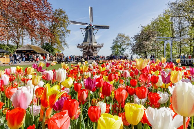 Keukenhof Gardens & Tulip Experience Tour from Amsterdam - From Stationsplein to the Countryside: Coach Ride and Timing