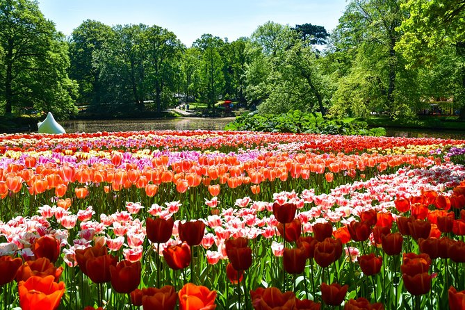Keukenhof Gardens & Tulip Experience Tour from Amsterdam - Non-Guided at the Parks: How to Get Value Without a Guide Walking You