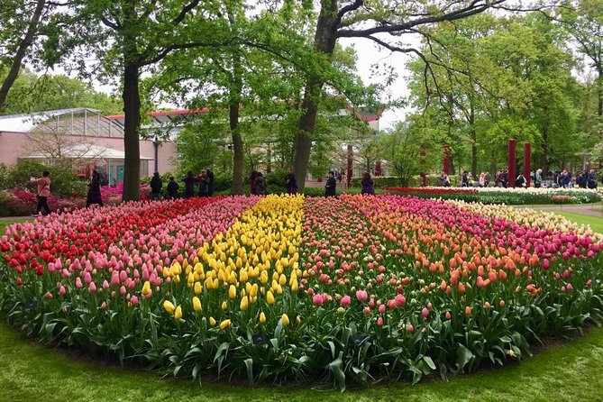 Keukenhof's Tulips and Windmills Small-Group Tour from Amsterdam - Clogs workshop and Gouda farm tastings: short stops with real flavor