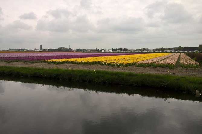 Keukenhof's Tulips and Windmills Small-Group Tour from Amsterdam - Molen De Kat windmill: climb the stairs, then look back