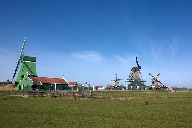 Keukenhof's Tulips and Windmills Small-Group Tour from Amsterdam - Group size, air-conditioned van, and the pacing feel on real-time streets