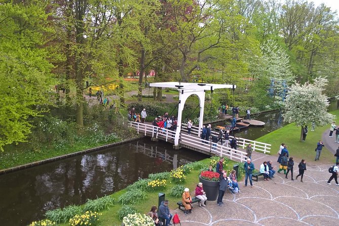 Keukenhof's Tulips and Windmills Small-Group Tour from Amsterdam - Meeting point at LOT61, 9:00 AM start, and how to avoid day-one stress