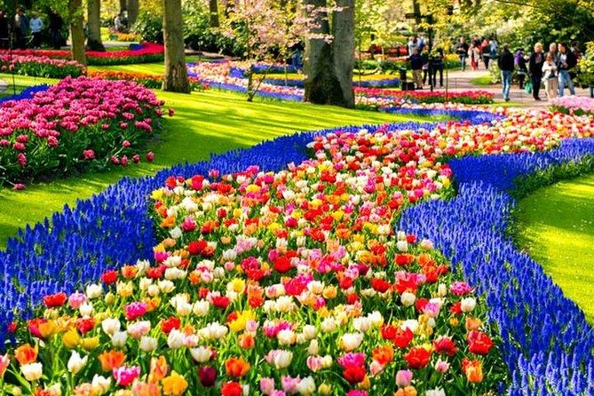 Keukenhof Skip-the-line Tickets: Countryside & Farm Private Tour - Key Things to Know Before You Go
