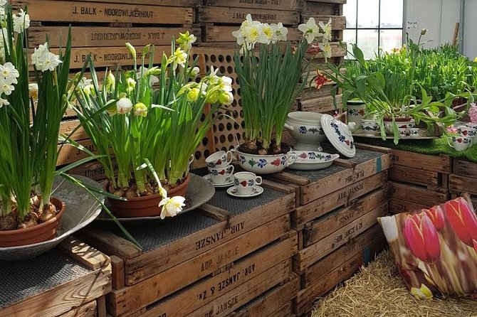 Keukenhof Skip-the-line Tickets: Countryside & Farm Private Tour - Lisse Flower Fields and a Bulb Farm Stop That Sets the Tone