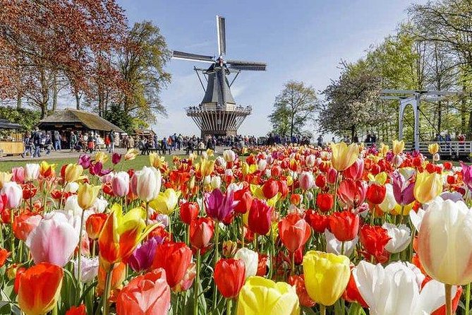 Keukenhof Skip-the-line Tickets: Countryside & Farm Private Tour - Zaanse Schans Windmills and the River Zaan Views