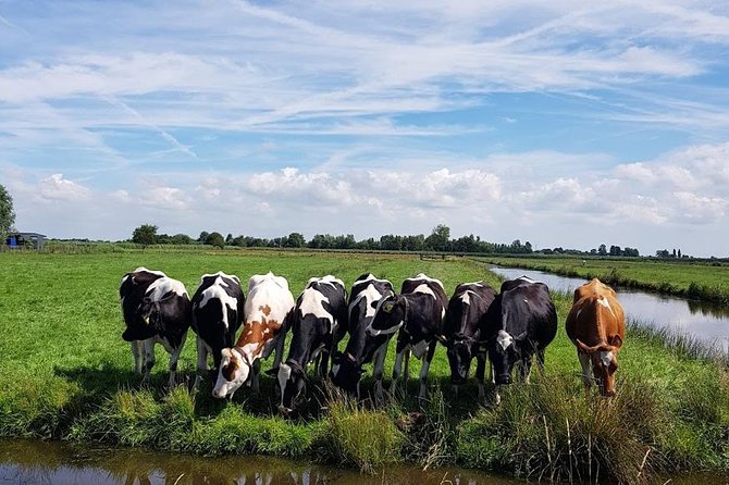 Keukenhof Skip-the-line Tickets: Countryside & Farm Private Tour - Jacobs Hoeve Cheese Farm by Henri Willig: Dutch Gold, in Practice