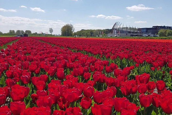 Keukenhof Skip-the-line Tickets: Countryside & Farm Private Tour - Guide Quality and the Small Things That Make the Day Better