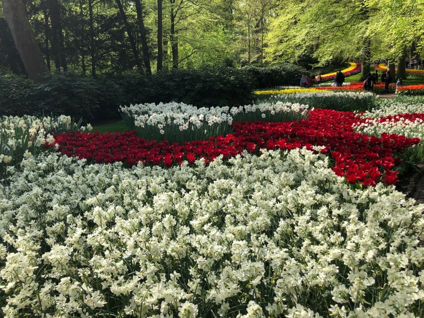 Keukenhof, Tulip Farm, Flower Fields & Windmills - Keukenhof Tulip Gardens: what you are really paying for