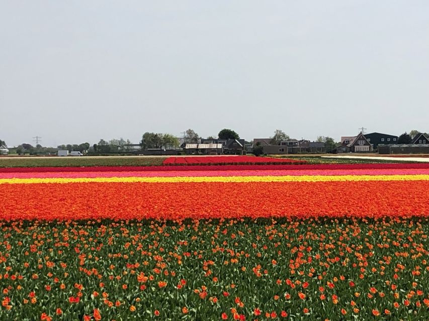 Keukenhof, Tulip Farm, Flower Fields & Windmills - Price and logistics: is $347 per person actually fair?