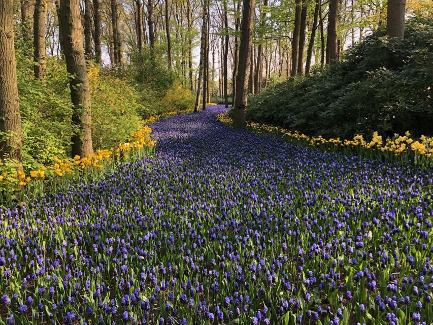 Keukenhof, Tulip Farm, Flower Fields & Windmills - Best-fit travelers for this Keukenhof, windmill, and villages day