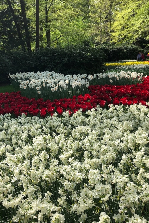 Keukenhof, Tulip Farm, Flower Fields & Windmills - Zaanse Schans: Dutch heritage mills and old manufacturing you can see