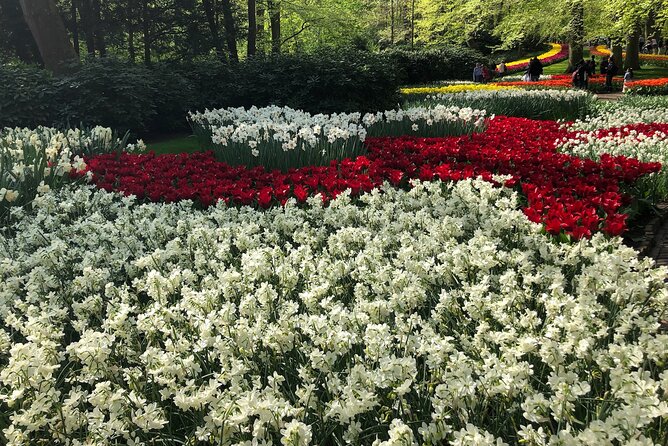 Keukenhof, Tulip Farm, Flower Fields & Zaanse Schans Windmills - How the Day Flows, and Why It Works