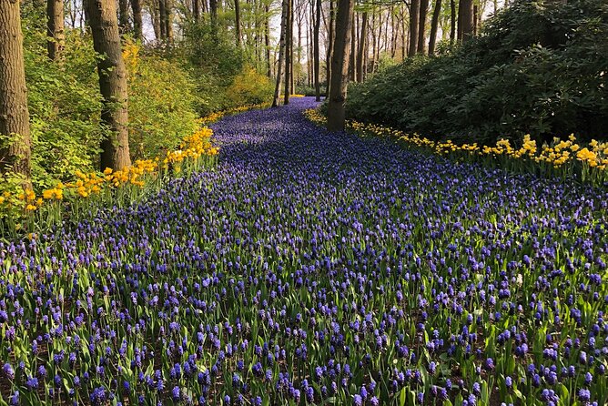 Keukenhof, Tulip Farm, Flower Fields & Zaanse Schans Windmills - Private Transfers, English Driver Guide, and the Comfort Factor